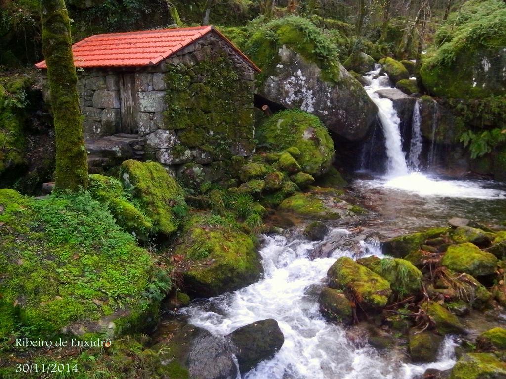 Douro Senses - Village House Cinfaes Room photo