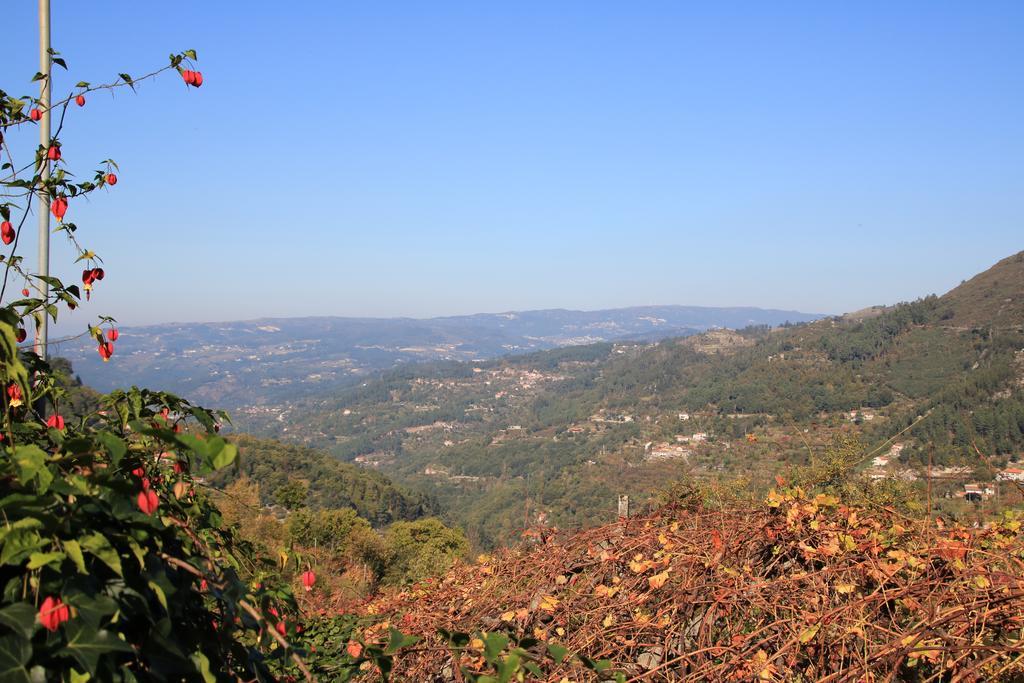 Douro Senses - Village House Cinfaes Exterior photo